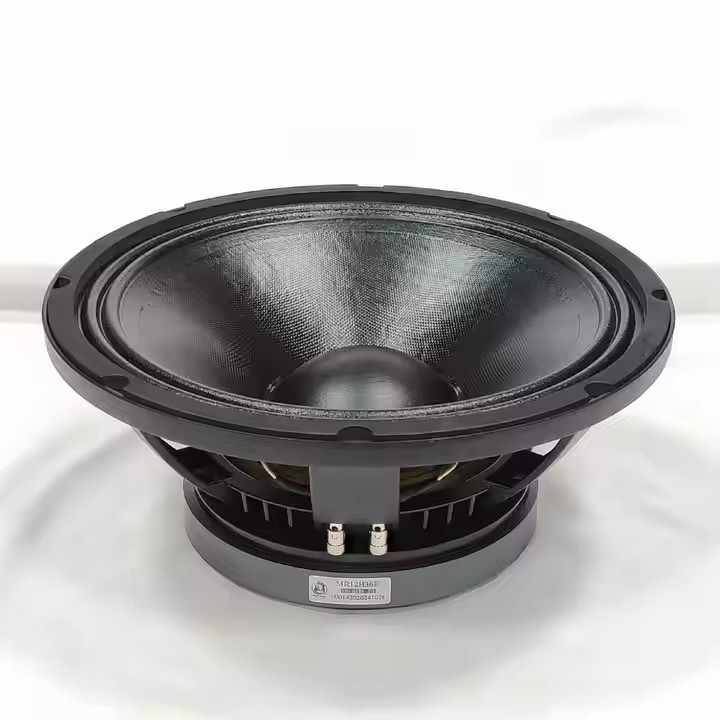 12 Inch Professional Loudspeaker, Good Sound 3 Inch Coil Speakers 